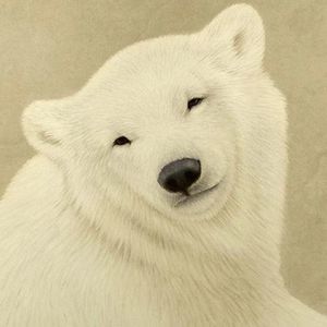 Meet your Posher, Georgi